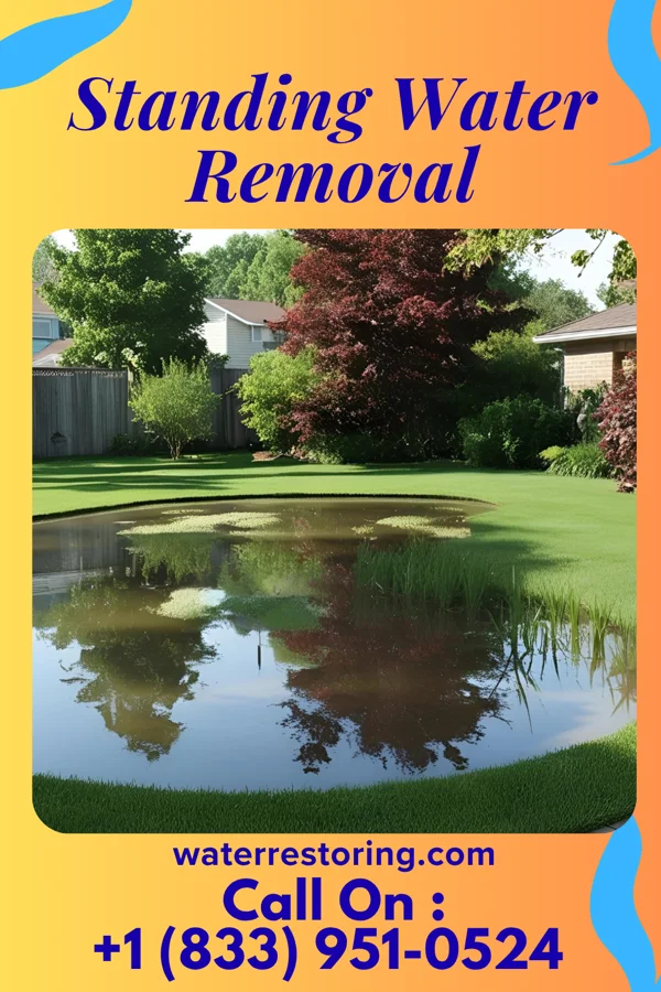 Standing Water Removal in Hartsville, SC